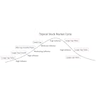 typical stock market cycle