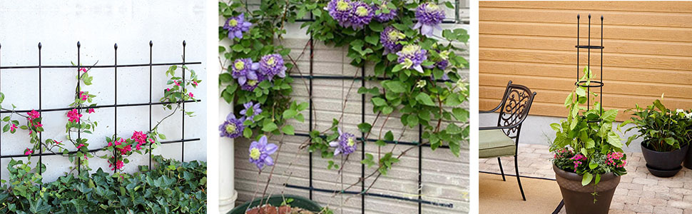 garden trellis