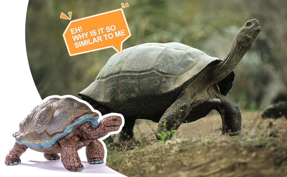 Animal Figures for Toddlers Kids Boys Girls