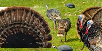 Turkey Fan Trophy