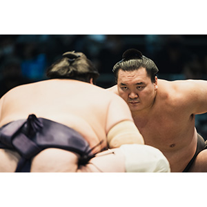 シゲです。大鵬 41rtW6RSnBL._AC_SY200_QL15_.jpg