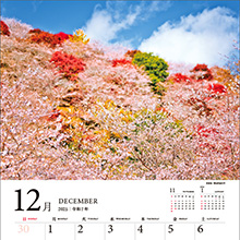 2025 日本の花絶景 彩りあざやかな春夏秋冬カレンダー