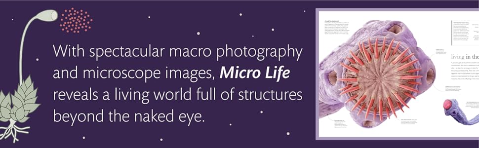 Micro Life