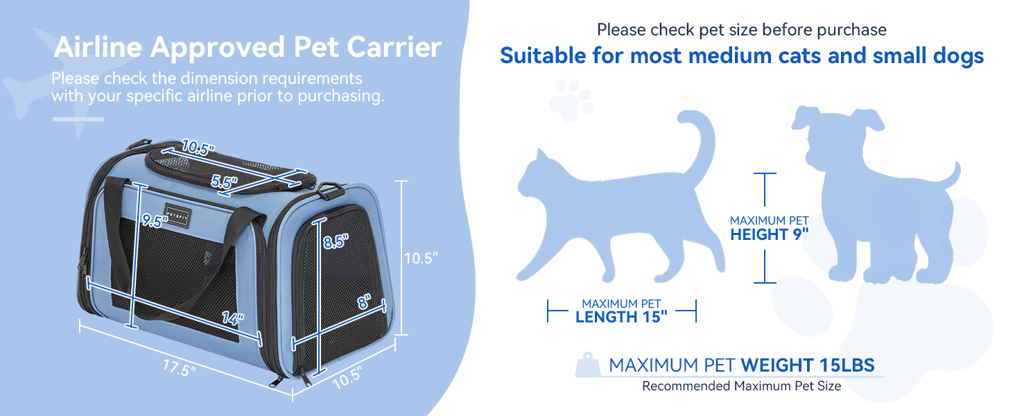Transportbox Katze
