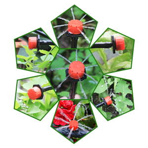 Drip Irrigation System Kit