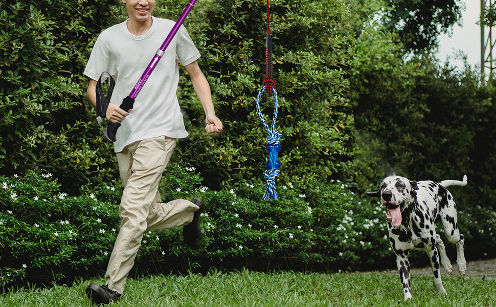 Flirt Pole for Dogs, Stronger Long Foldable for Large Dogs