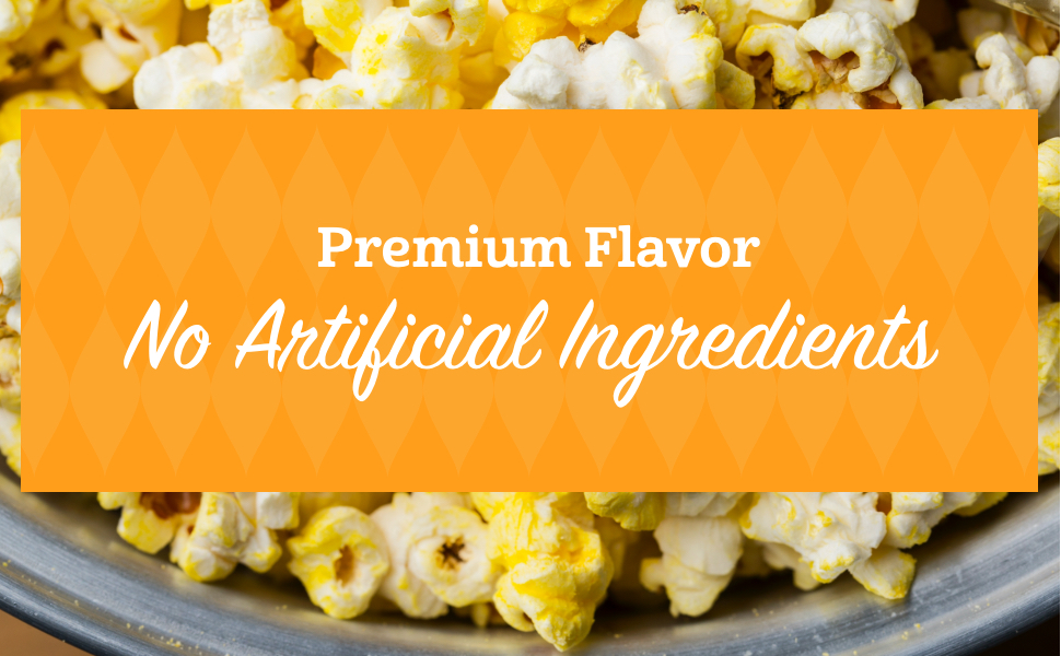 Franklin’s Gourmet Popcorn Butter Flavored Salt 8 oz. Bottle