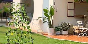 Garden Trellis for Climbing Plants Outdoor