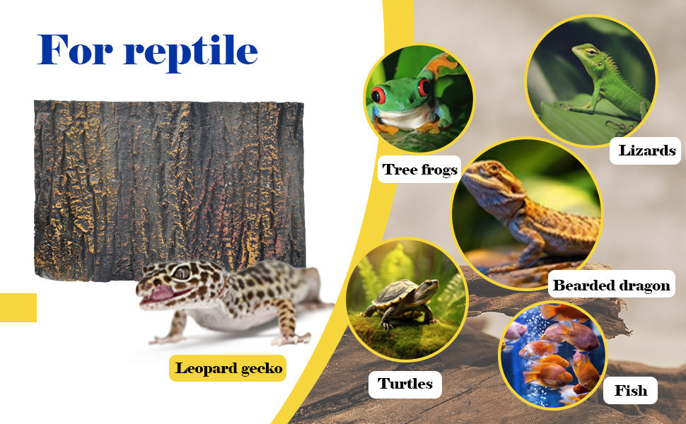 Rock Terrarium Background Reptile Tank Backgrounds Snake Habitat Decoration