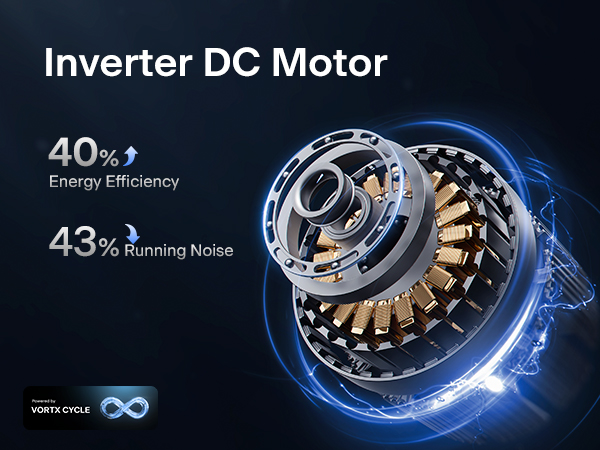 DC Motor
