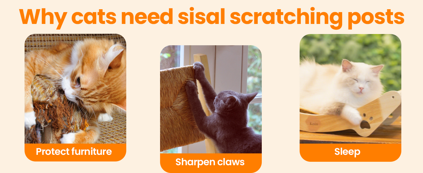 Sisal Cat Scratcher Bed for Indoor Cats Hammock for Scratching Pad Cat Chair Sisal Scratch Post