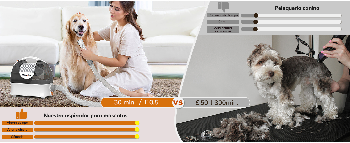 aspiradora para pelos de perro