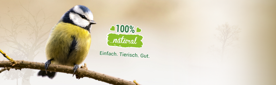 Meise, Meisenknödel, Lyra Pet, Fettfutter, Vogelfutter