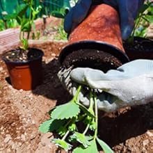 Plastic flowerpots