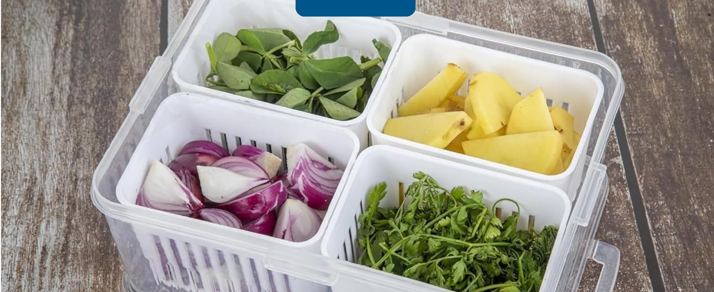 Container for Kitchen