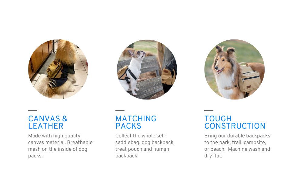 3 circle dog backpack