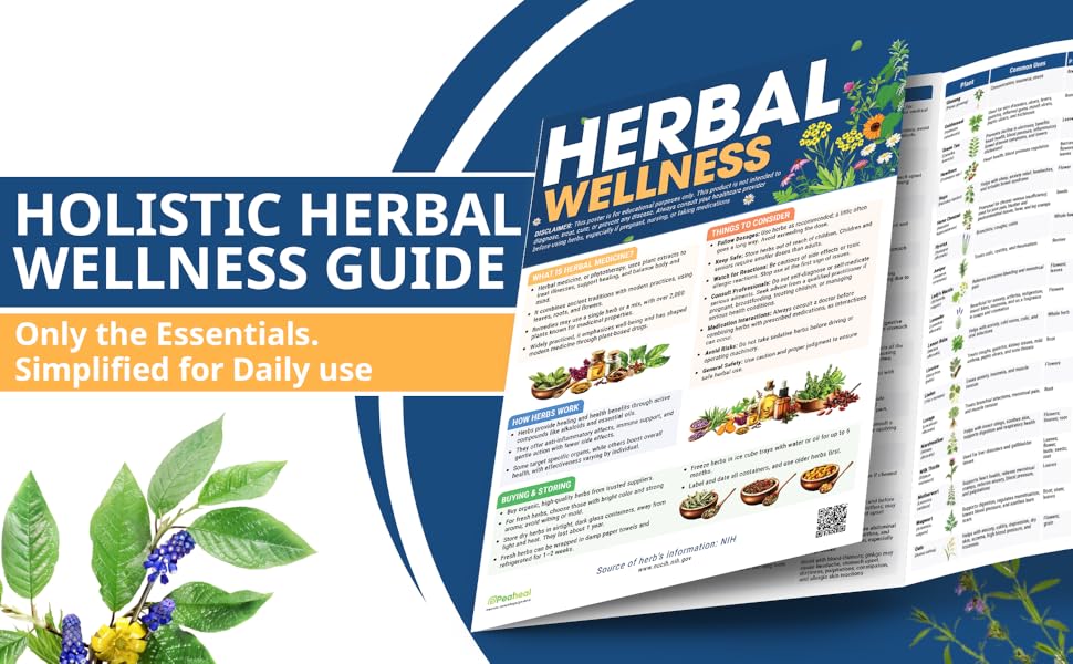Herbal Medicine Anh 1 