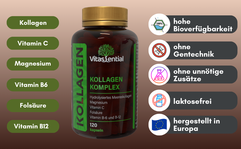 Vitassential Kollagen Komplex Zutaten