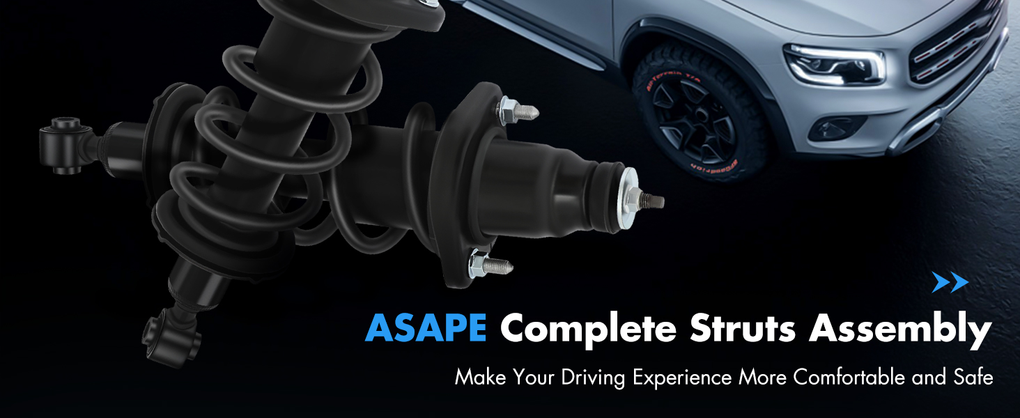 Complete Struts Assembly