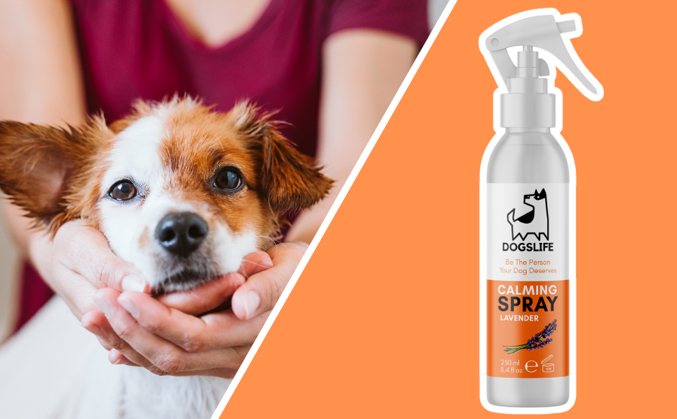 Dog Calming Spray Safe Calming Spray For Dogs Stress & Anxiety