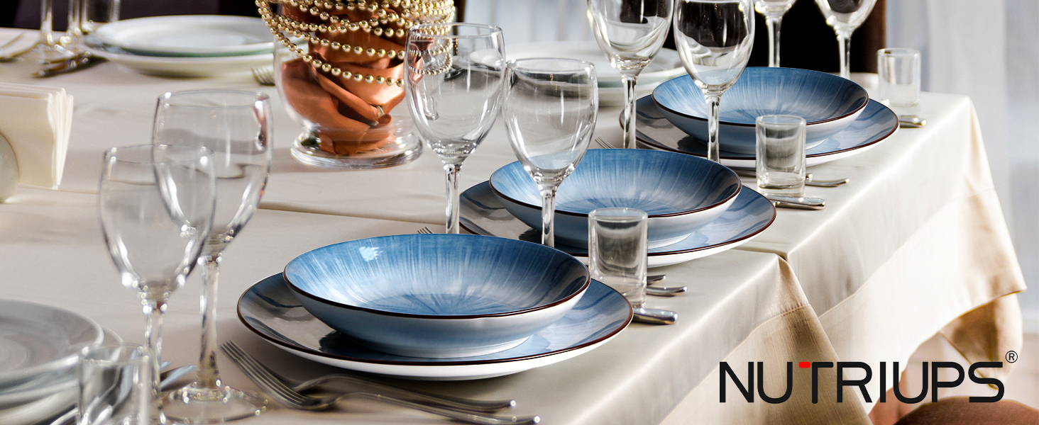 NUTRIUPS 10.5 inch Dinner Plates