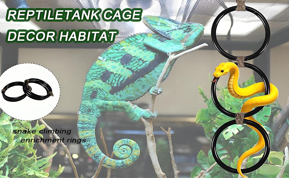 SNAKE CLIMBING ENRICHMENT RINGS