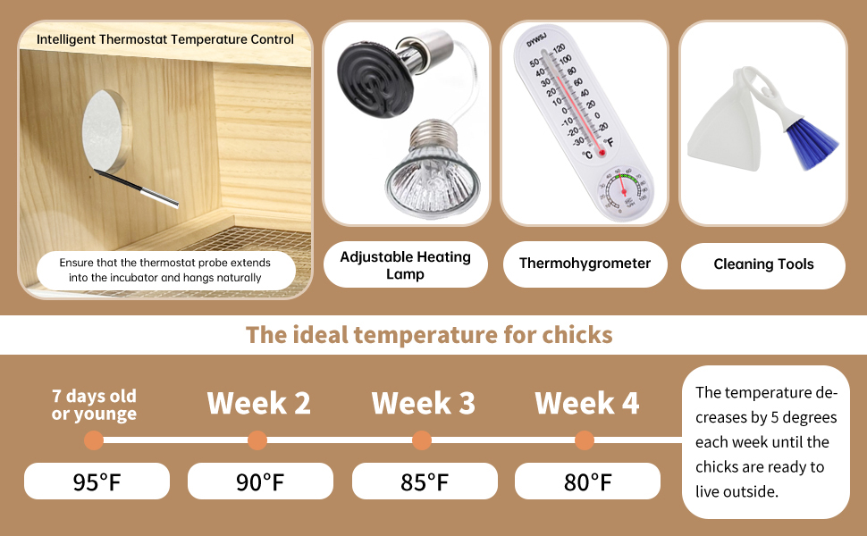 Chicken Brooder Box 31.5", Large Chick Brooder, Chicken Brooder with Temp Controller