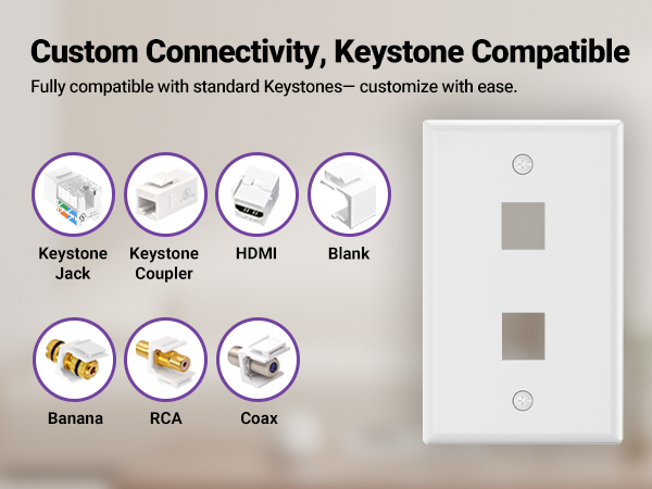 keystone wall plate 2-port