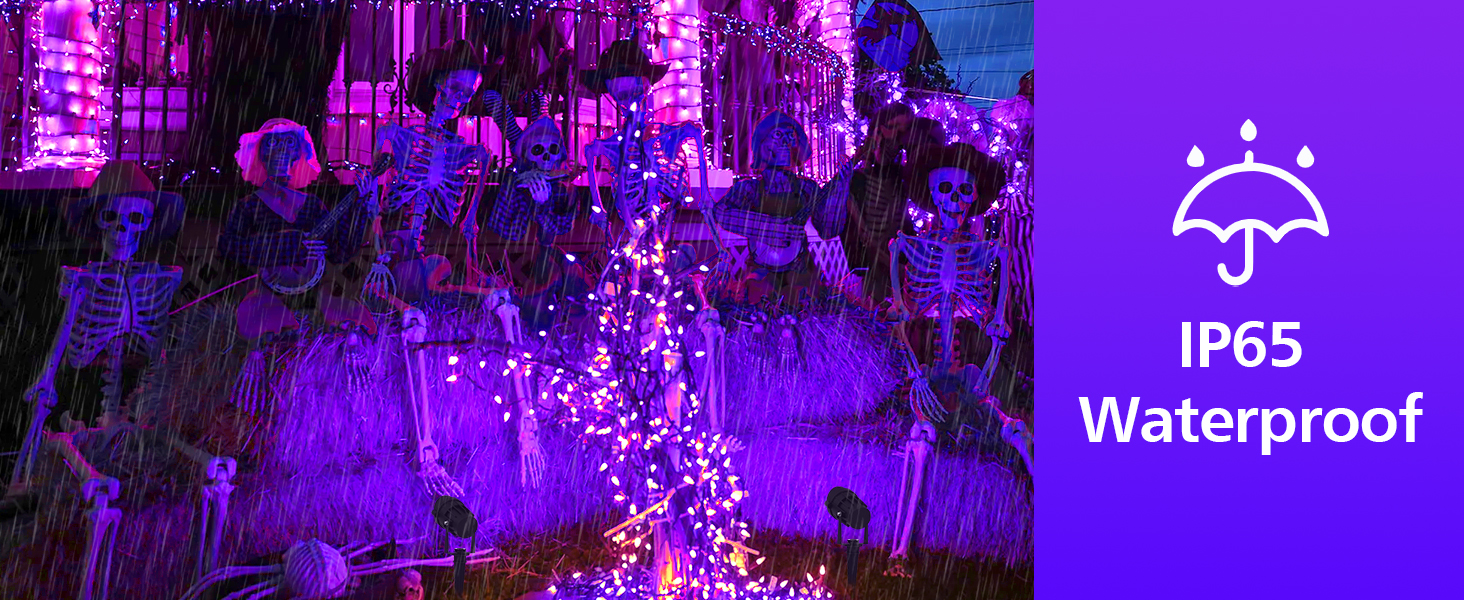 black lights spotlight