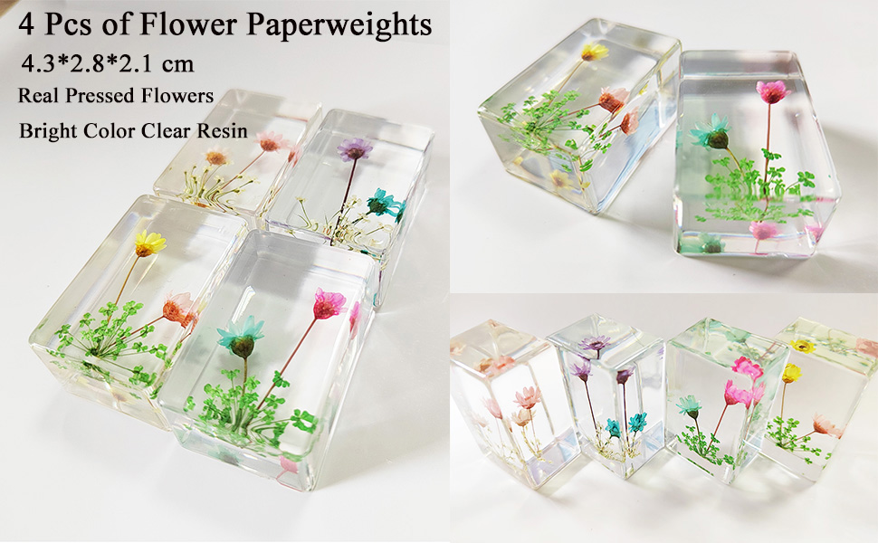 PTGMH Flower Paperweight 4 Pcs Resin Paperweights for Desk