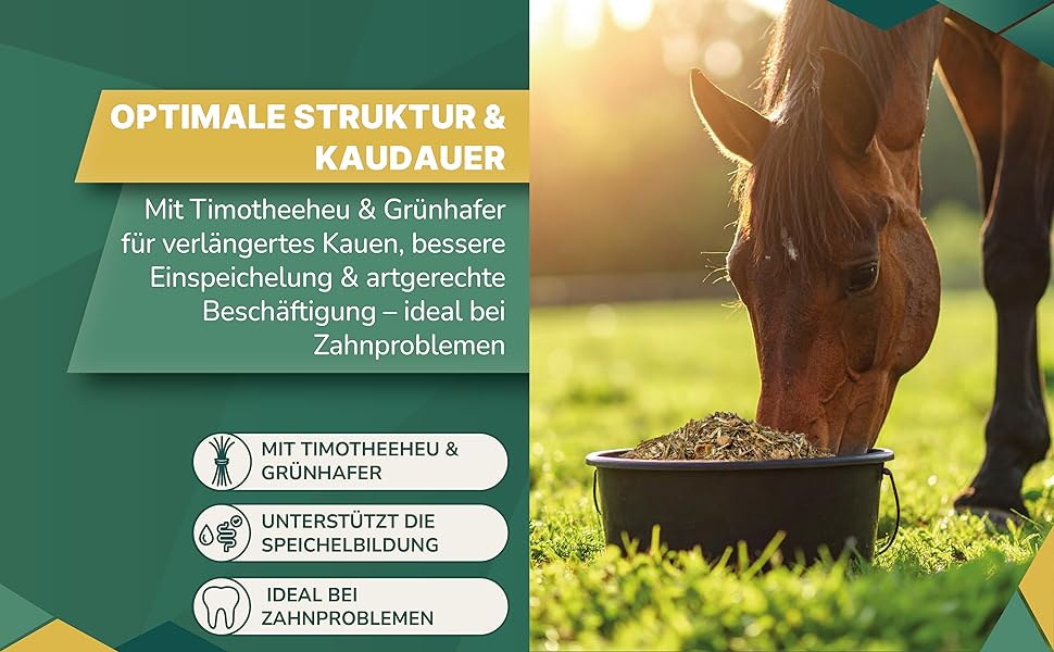 Der Text lautet „OPTIMALE STRUKTUR &“. Marketingbanner mit Pferden auf einem sonnigen Feld mit Textüberlagerungen und Iconelementen in grüner und weißer Farbgebung.