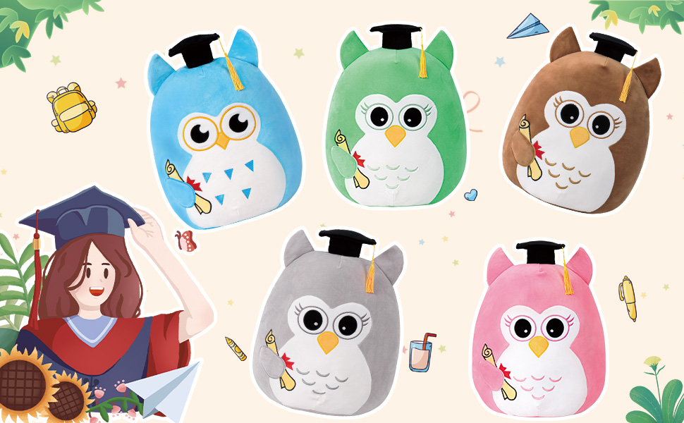 Graduation Owl-class of 2025 gifts