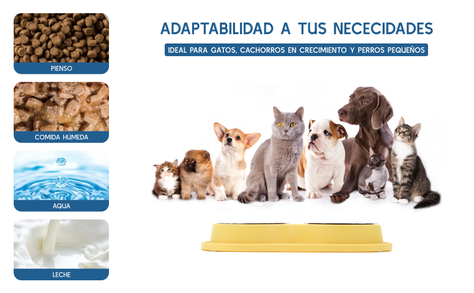 comedero perro gato