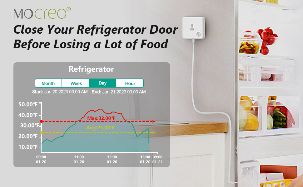 WiFi Thermometer Freezer Alarm, Email and App Alert, 2Year Data Logging Export, No
