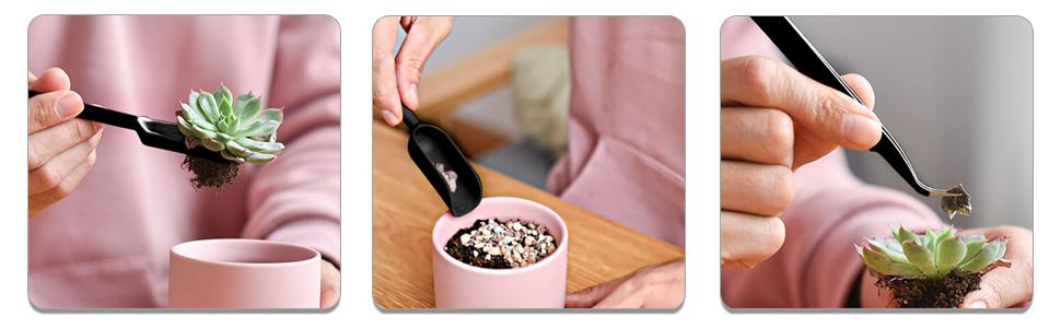 ferramentas suculentas