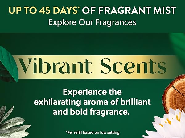 bathroom smell good,bathroom freshener long lasting