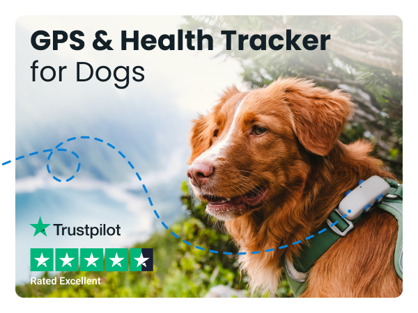 Tractive GPS Pet Tracker for Dogs - Waterproof, GPS Location