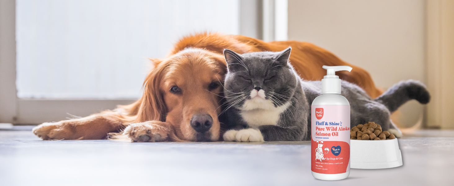 salmon oil for dog and cats omega 3