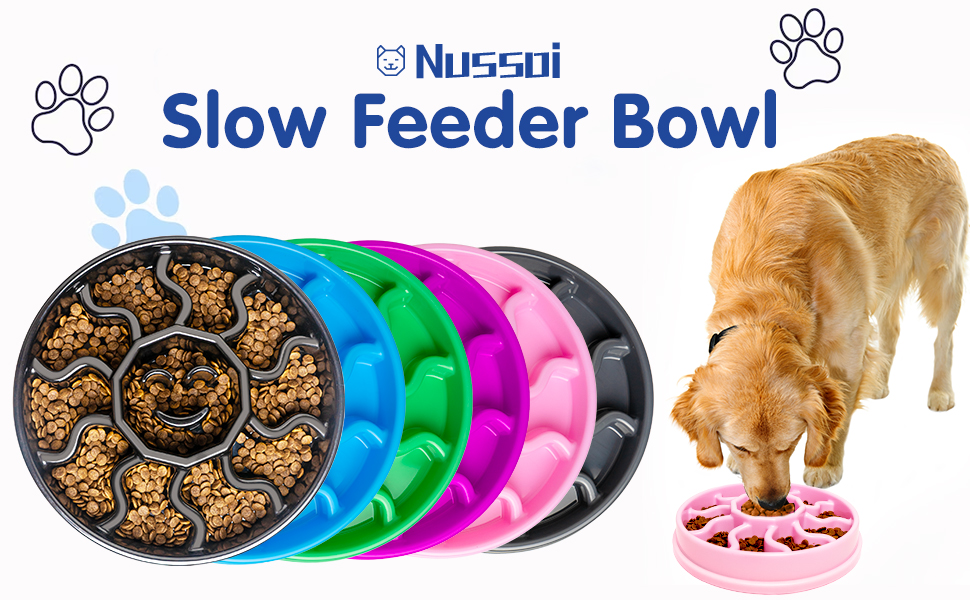 Slow Feeder Dog Bowl for Large and Medium Dogs, NonSlip