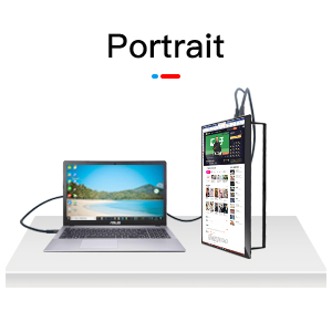 portrait monitor