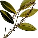Small manufacture image 9