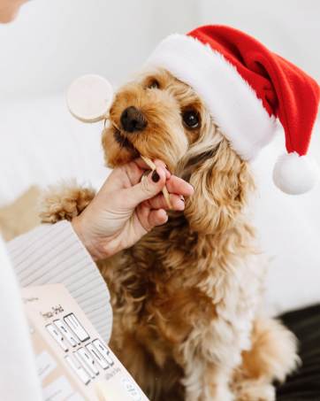 malsipree dog treats dog water bottle pet feeding bowl slow feeding holiday treats dental healthy