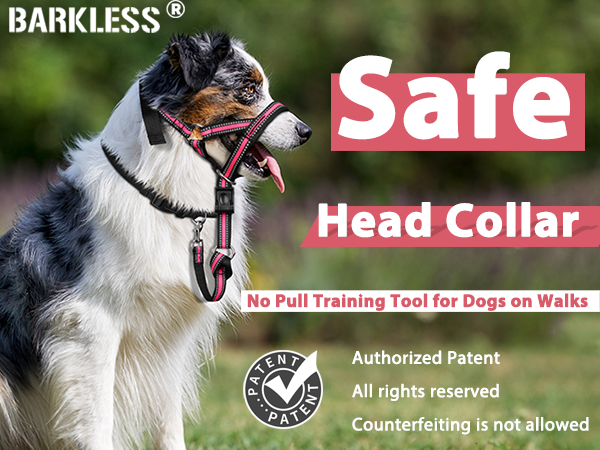 How to Condition Dogs to a Head Halter Gently before Walks: Easy Steps