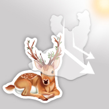  Sun protection stickers