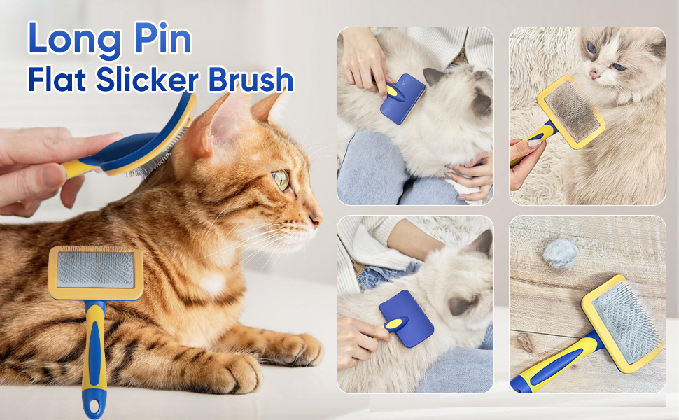 Dog Brush Shedding Kit Grooming Dog Grooming Kit Dog