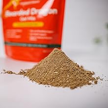 Bearded Dragon Food Natural Ingredients