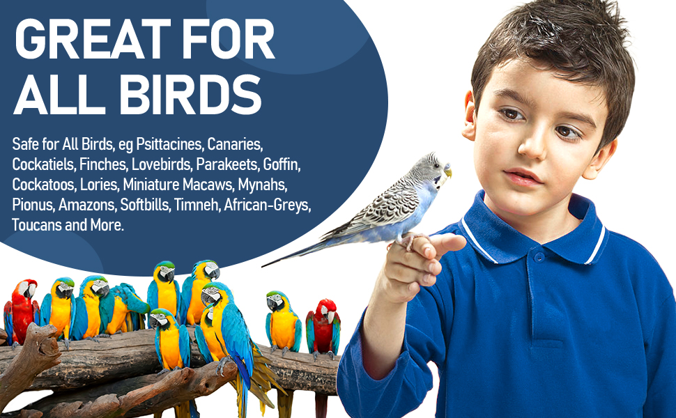 probiotics for parrot