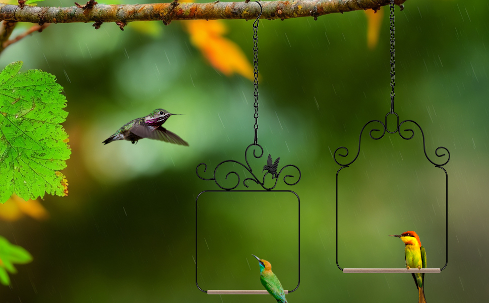 Wild Bird Swings and Perches Metal Frame 2 Pack Large