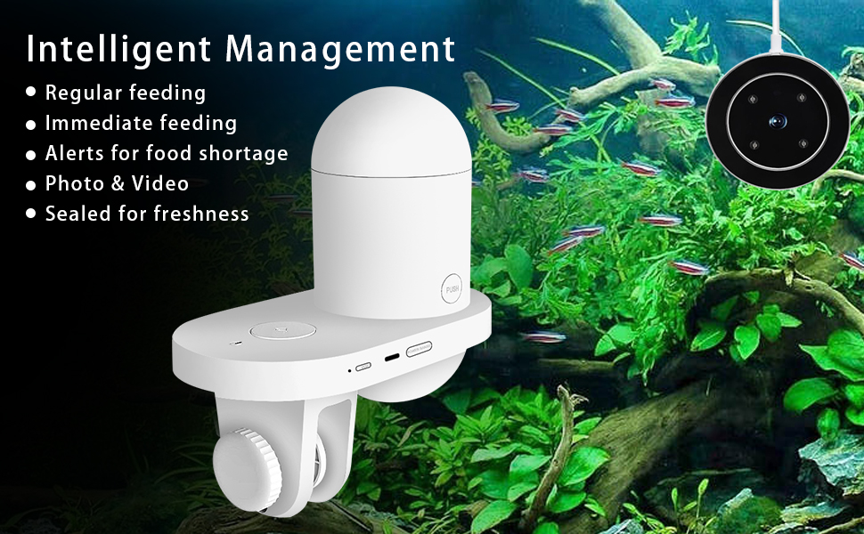 Glonsu Fish Feeder Automatic Dispenser with 2K HD Camera