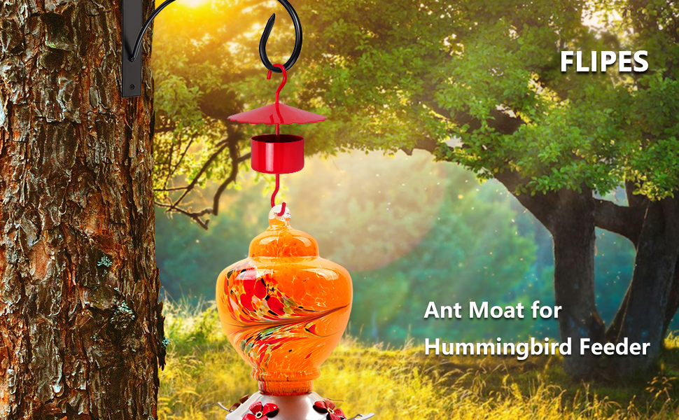 Ant Moat for Hummingbird Feeders, 4 OZ Large Hummingbird